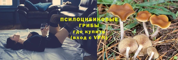 гашишное масло Алексеевка