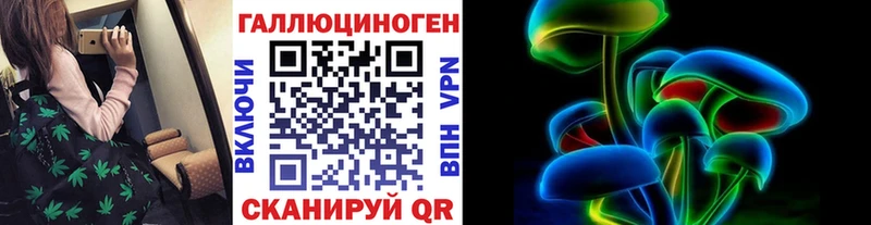 цены   MEGA маркетплейс  Галлюциногенные грибы Cubensis  Шебекино 